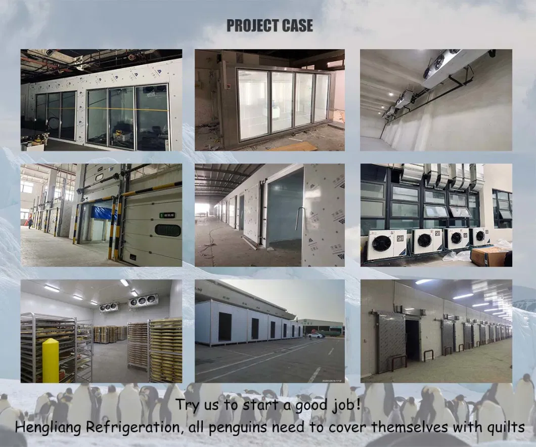 Hengliang Cooling Best Price Used Commercial Food Storage Cold Storage Freezing Chamber Fresh Keeping Single Sliding Door Competitive Price Cn; Gun