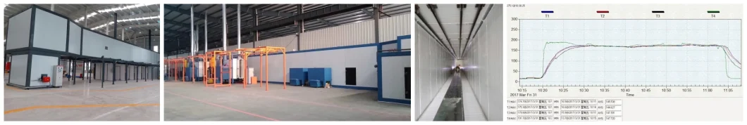 Cabinet Store Racks Fully Automatic Epoxy Powder Coating Line for Sale