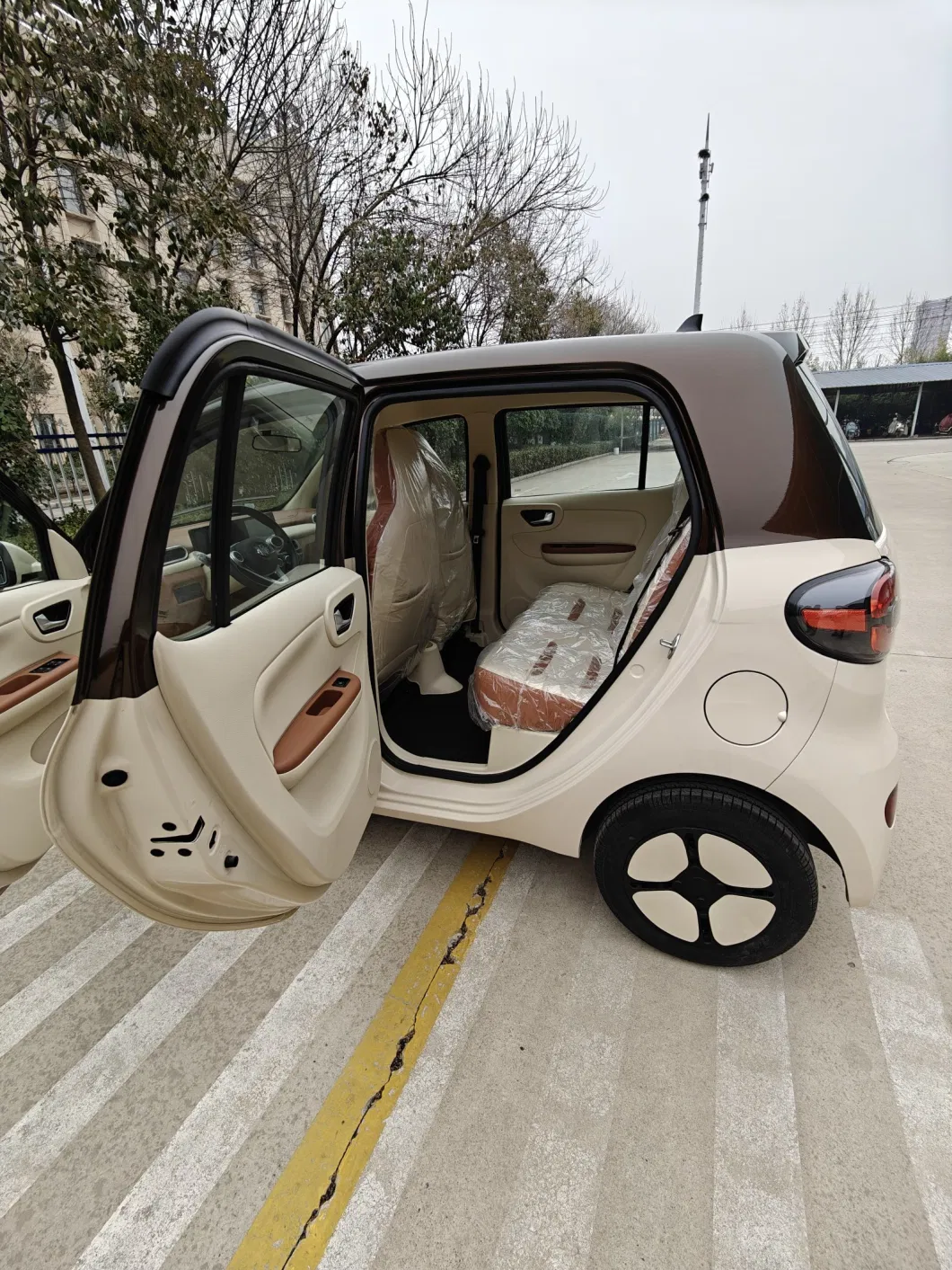 EEC Certification/High-Speed Electric Vehicle/Electric Passenger Vehicle