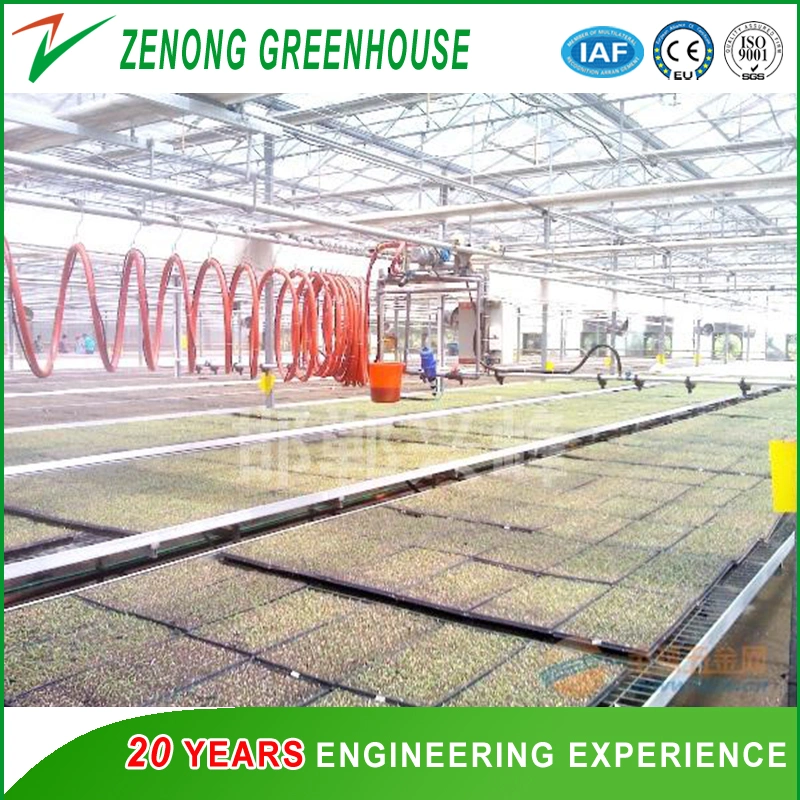 Greenhouse High Quality Walking Sprinkler for Vegetable Irrigation