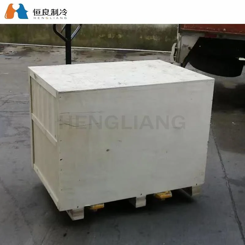 Hengliang Cooling Best Price Used Commercial Food Storage Cold Storage Freezing Chamber Fresh Keeping Single Sliding Door Competitive Price Cn; Gun