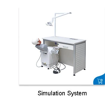 Dental Oral Unit Chair Full Set Clinic Equipment