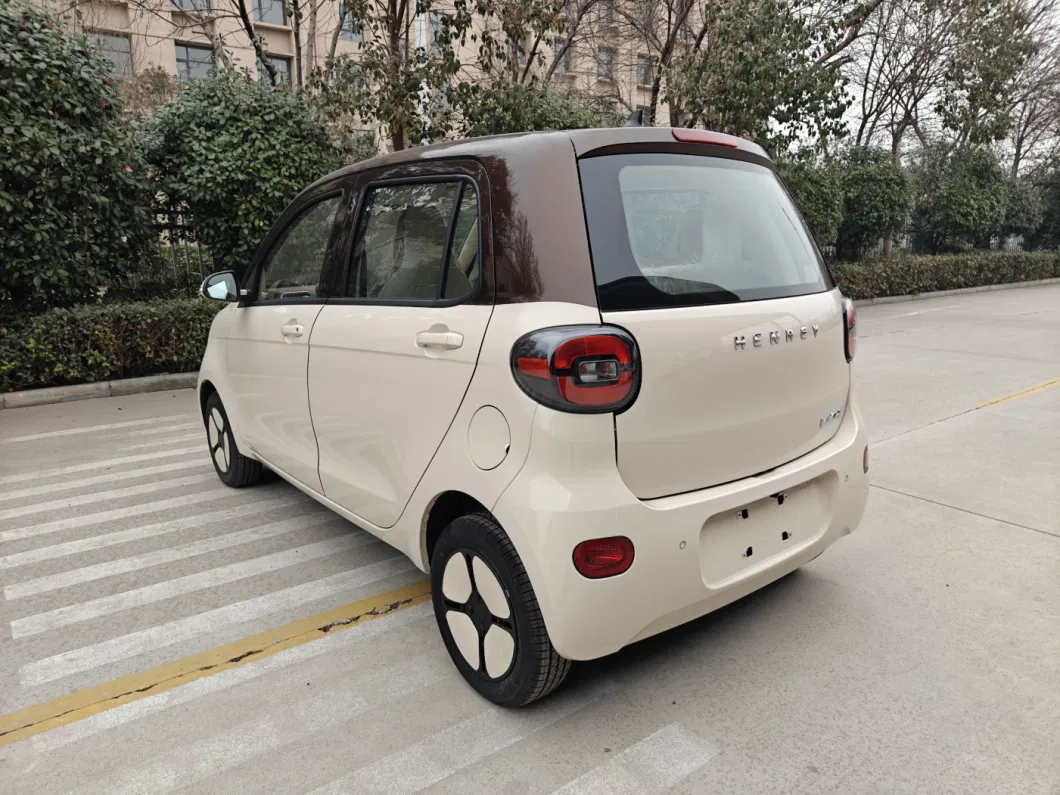 New Energy Electric Car with EEC Approval