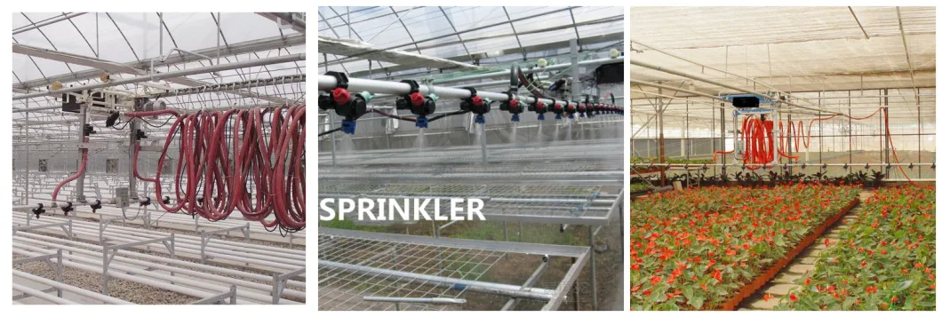 Auto Self-Propelled Walking Sprinkler with Supporting Beam and Hose for Greenhouse Irrigation