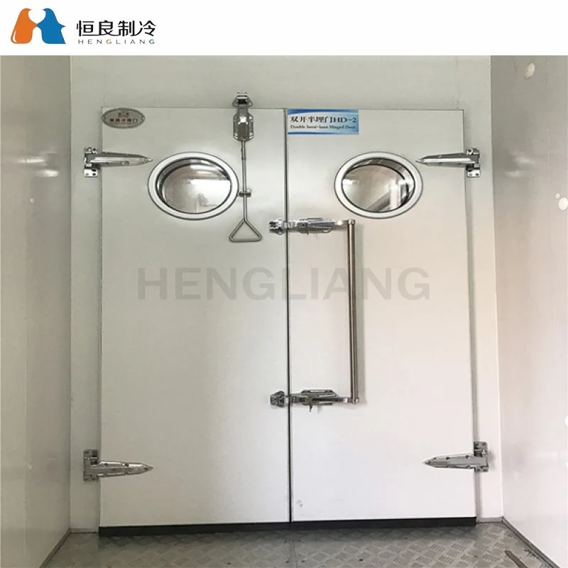 Hengliang Cooling Best Price Used Commercial Food Storage Cold Storage Freezing Chamber Fresh Keeping Single Sliding Door Competitive Price Cn; Gun