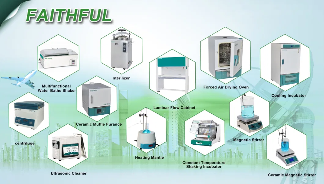 Hot Air Circulating Drying Oven / Laboratory Convection Drying Oven / Industrial Drying Oven