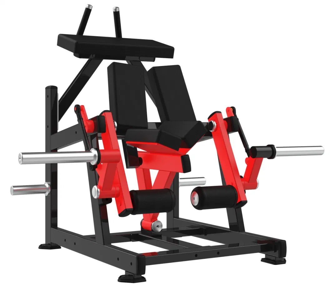 Realleader Fitness Body Building Exercise Equipment Gym with Factory Price Ld-2002