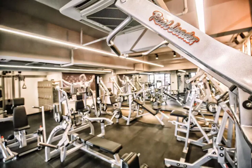 Hot Sale Realleader Home Building Sport Club Equipments Body Fitness Gym Equipment Ld-1008