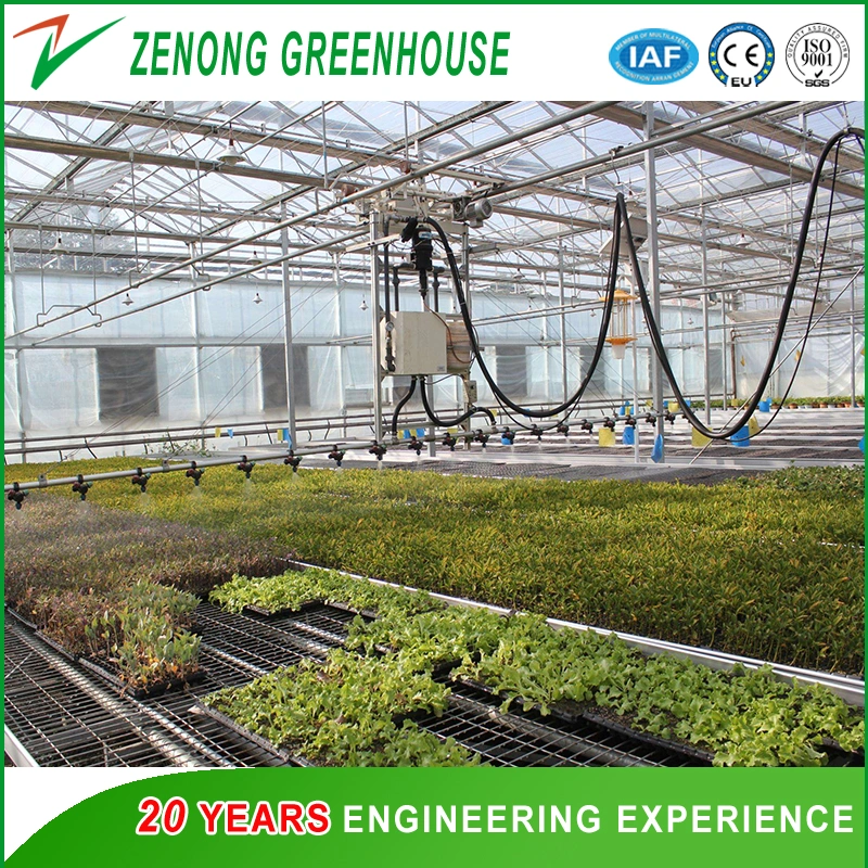 China Agriculture Used Self-Propelled Water Sprayer for Vegetables/Seedbreeding/Farming