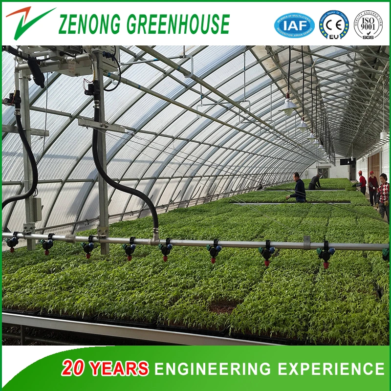 China Agriculture Used Self-Propelled Water Sprayer for Vegetables/Seedbreeding/Farming