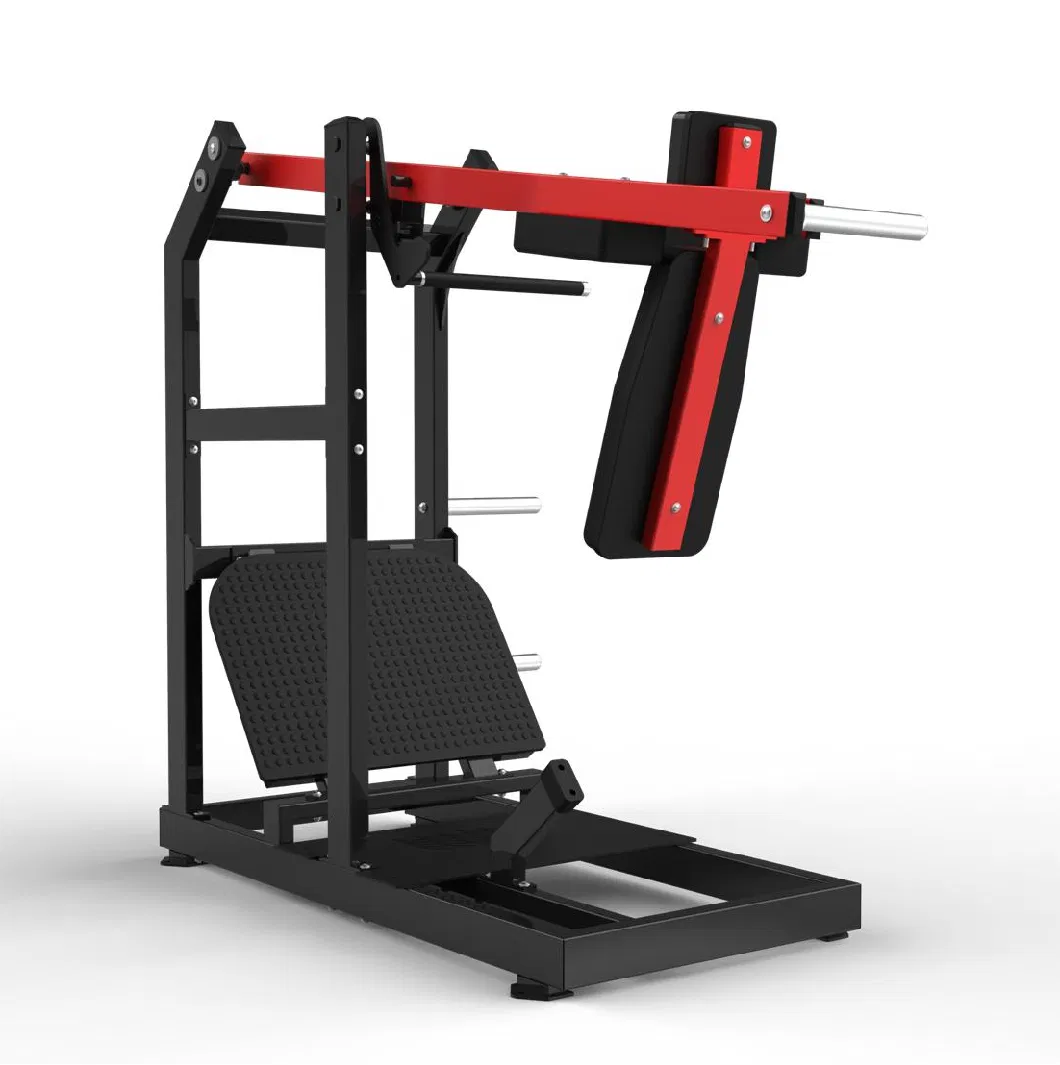 Realleader Exercise Machine Fitness Gym Equipment Pendulum Squat with Factory Price Ld-2006