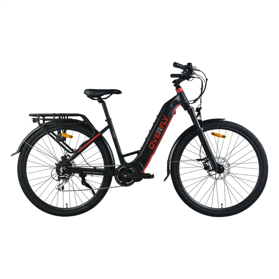 MID Drive Motor Ebike Electric City Bike with Suspension