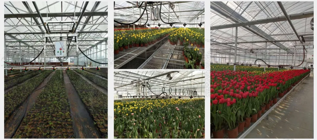 Greenhouse Specially Used Self-Propelled Sprinkler for Seed Breeding/Flowers Cultivation