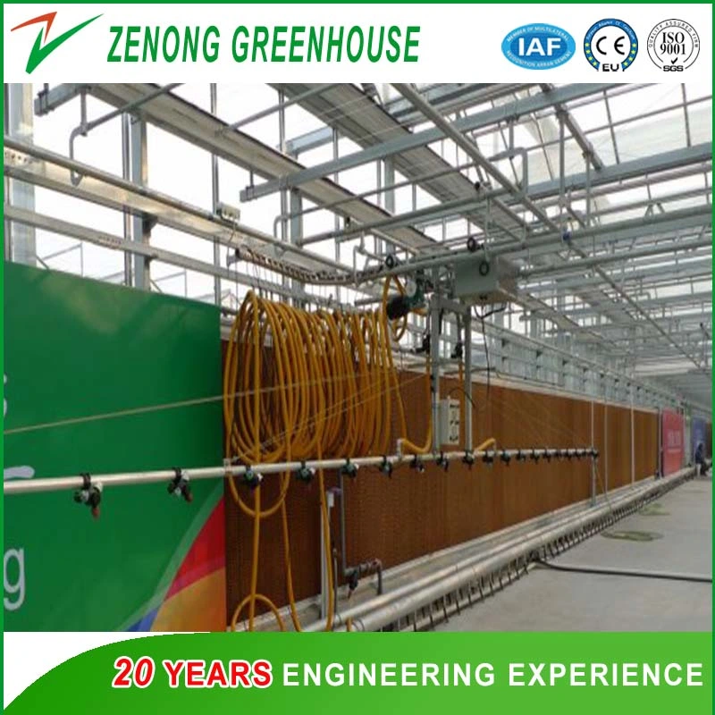 Green House Self-Propelled Spray Irrigation Equipment