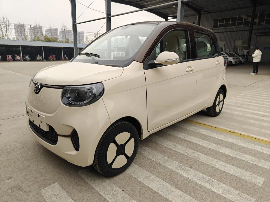 New Energy Electric Car with EEC Approval