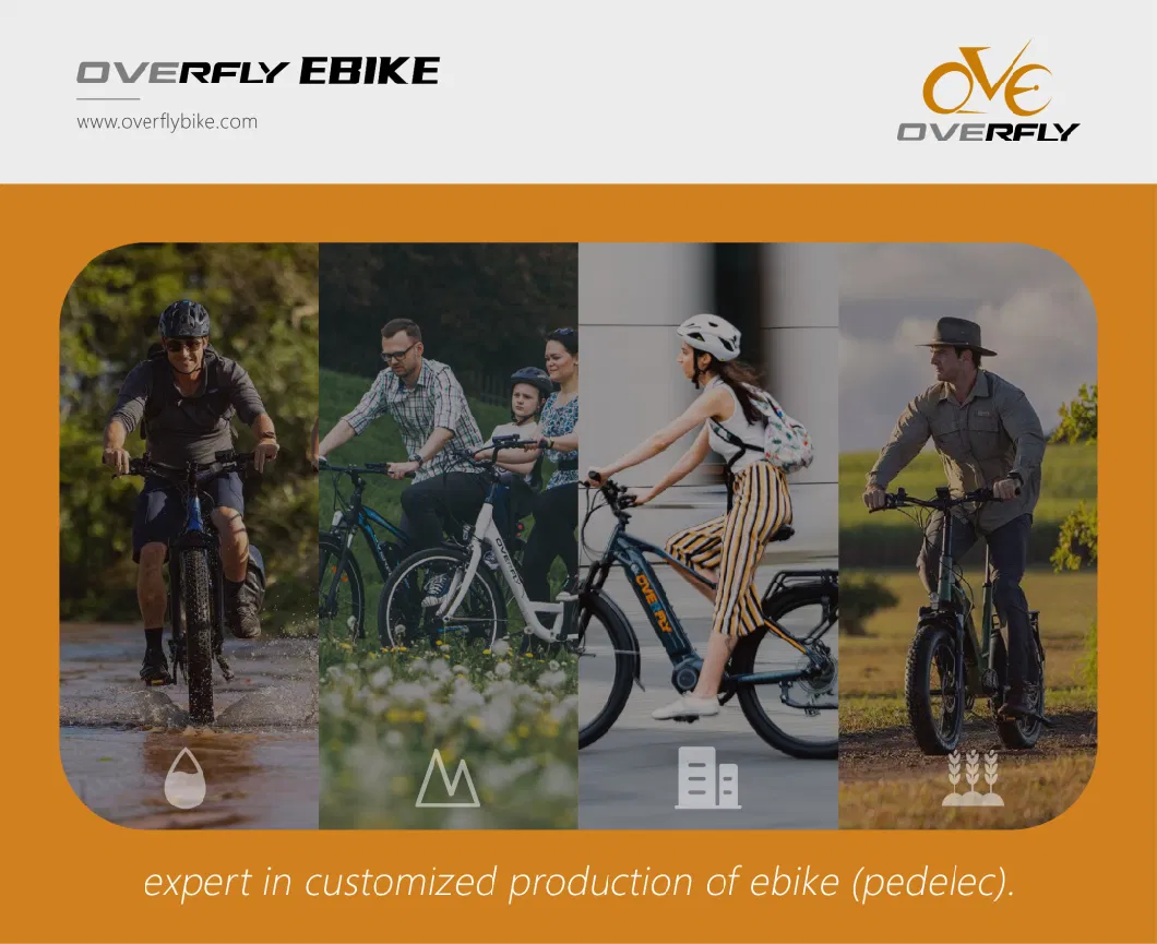 MID Drive Motor Ebike Electric City Bike with Suspension