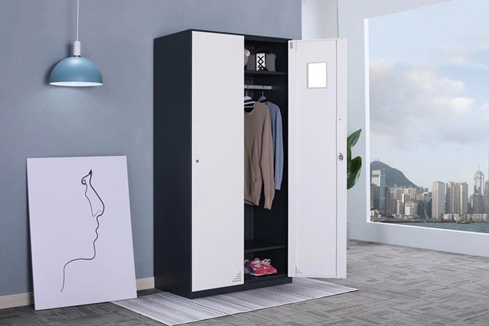 Slim Side 2 Door Clothes Locker Double Color Kd Bedrrom Office Wardrobe Cabinet