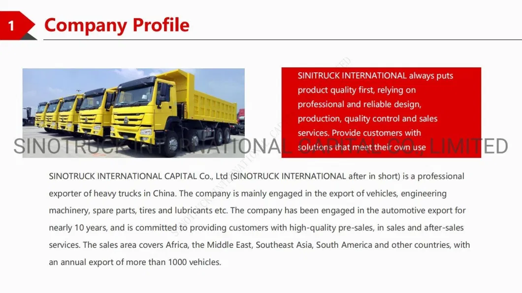 Sinotruk LHD or Rhd 4X4 6X6 Anti-Riot Water Cannon Full Road Condition off Road HOWO Water Cannon Vehicle Truck