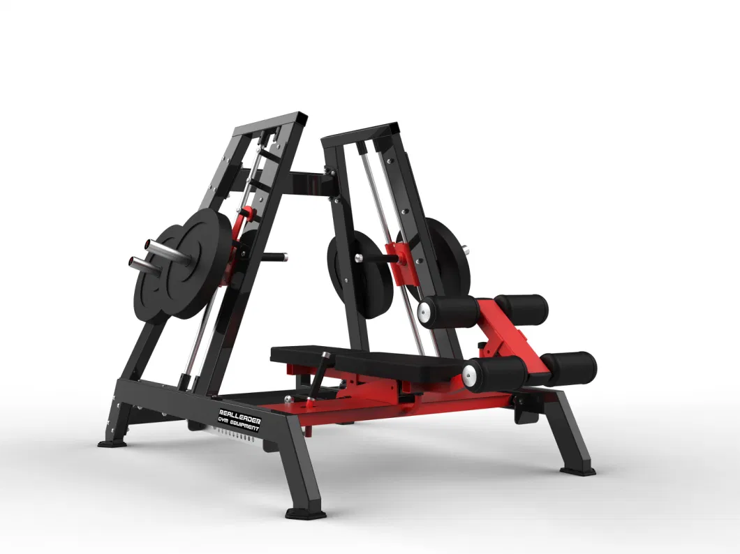 Realleader Commercial Fitness Equipment Gym Power Smith Machine Dual System Ld-1007