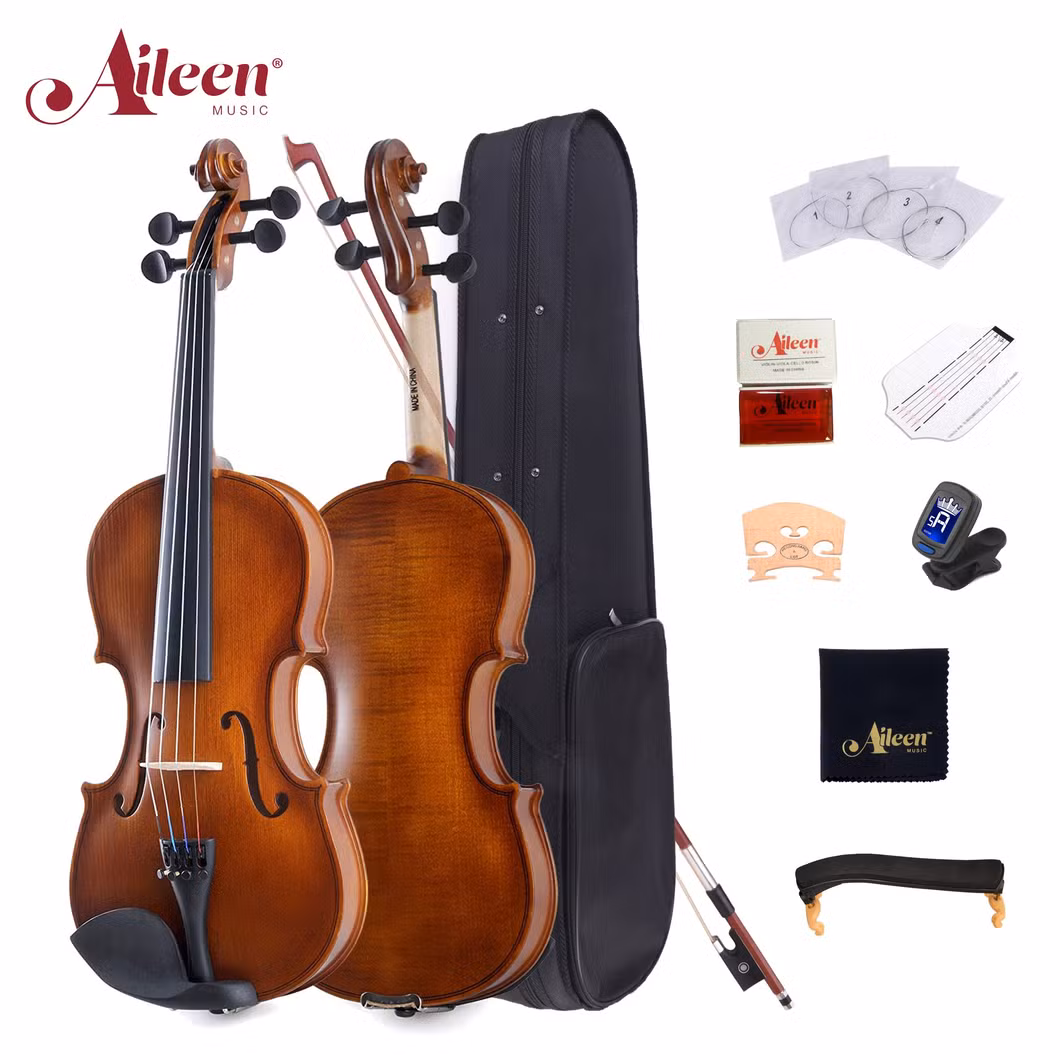 4/4 China Factory Wholesale Professional Beginners Student Violin (VG001-HPM)