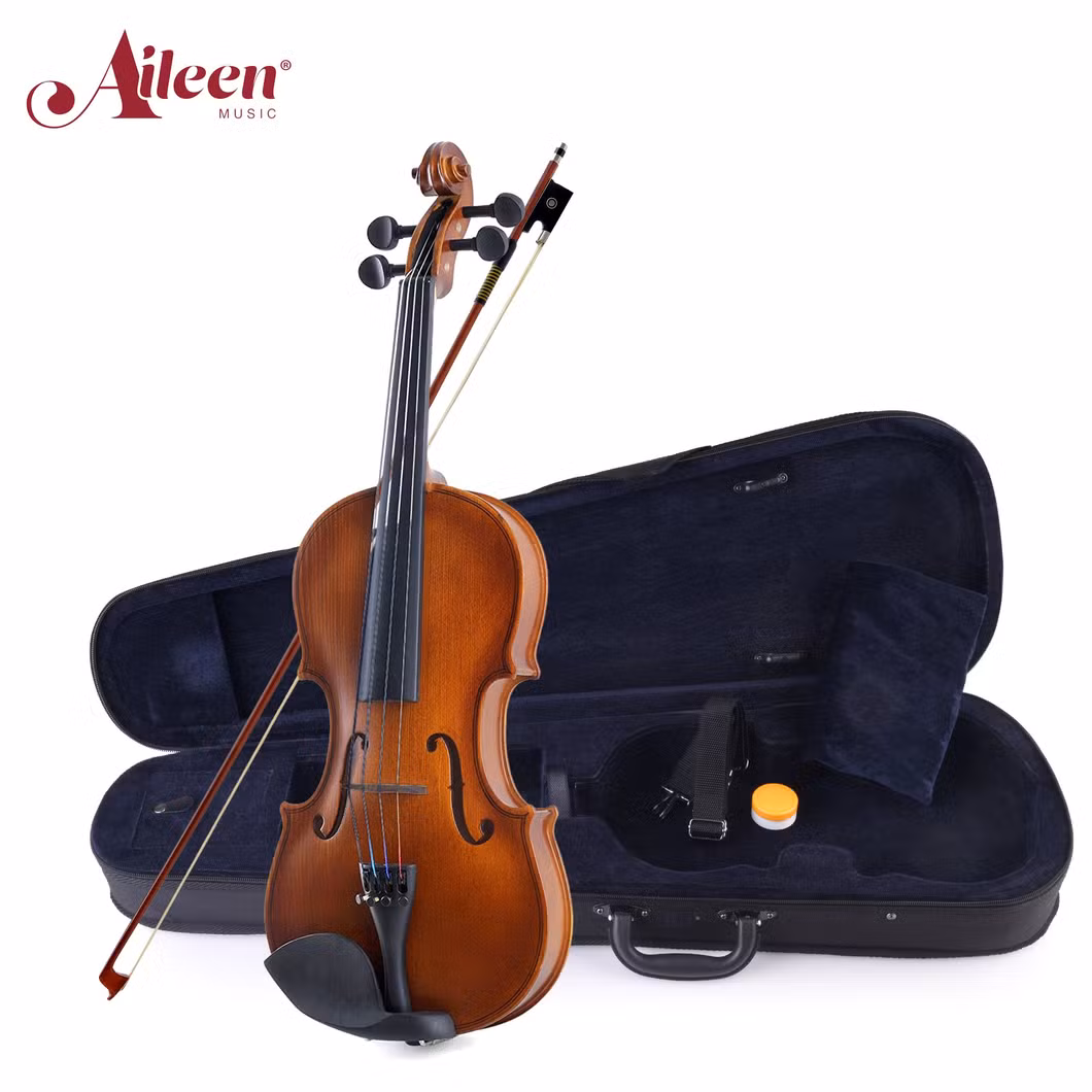 4/4 China Factory Wholesale Professional Beginners Student Violin (VG001-HPM)
