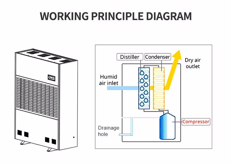 Factory Price 480L/D Big Capacity LED Display Industrial Dehumidifier Greenhouse Restaurants