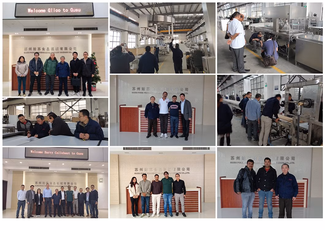 Gusu Automatic Chocolate Chips Forming Machine Chocolate Machine with Large Capacity