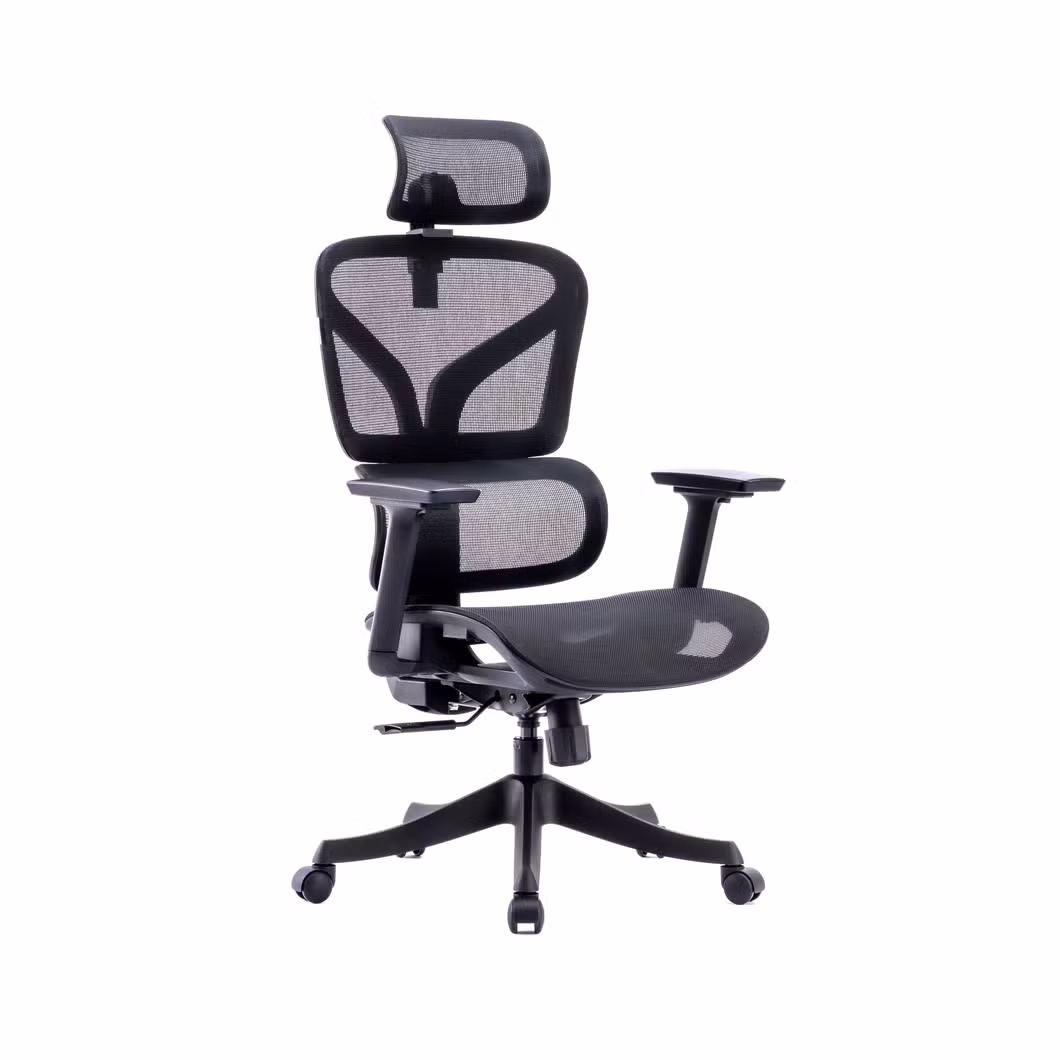 Ergomesh Multi-Function All Mesh Office Chair with Test Pass at a Budget-Friendly Price