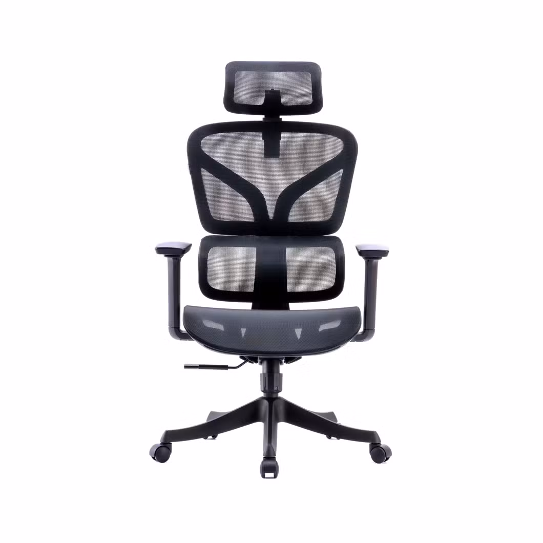 Ergomesh Multi-Function All Mesh Office Chair with Test Pass at a Budget-Friendly Price