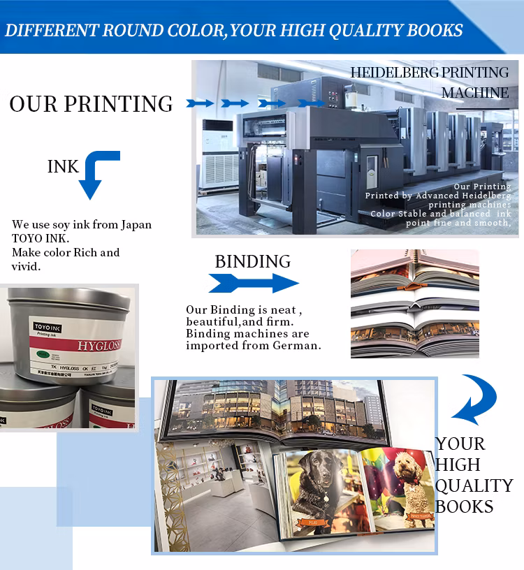 Wholesale A4 Printed Medical College Math Books Imprimerie Education Textbook Printing for Students