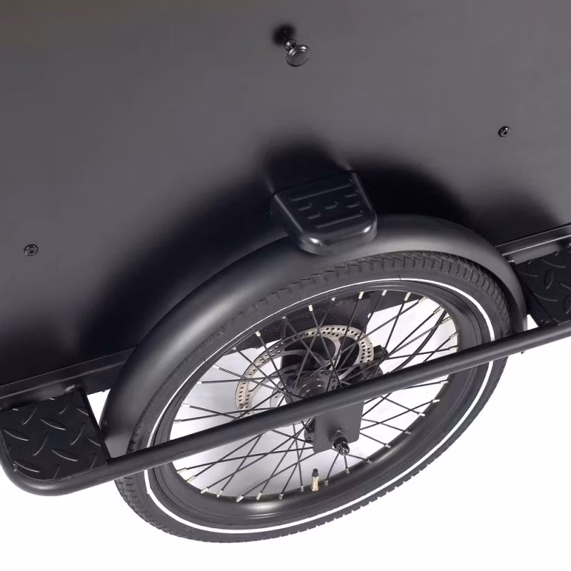 E Cargo Bike for Carrying Kids 20/26 Inch Electric Cargo Bicycle with Large-Capacity