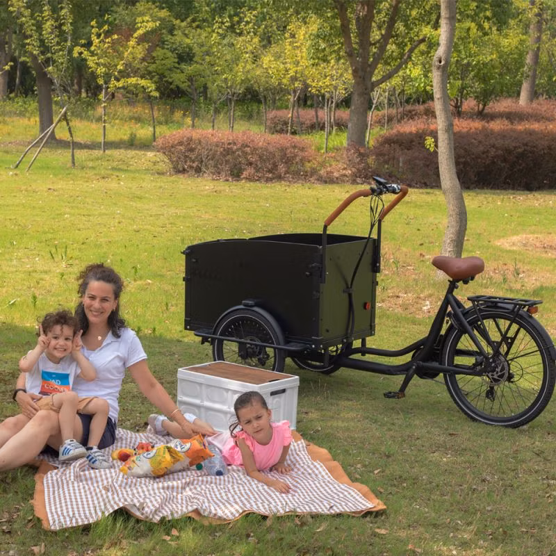 E Cargo Bike for Carrying Kids 20/26 Inch Electric Cargo Bicycle with Large-Capacity