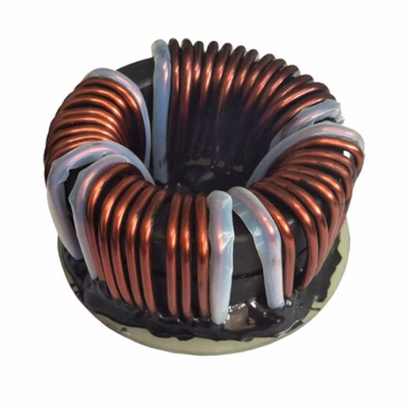 Factory Supply Low Resistance Through-Hole Horizontal and Vertical Variable 0.1uh 22uh 100uh 200uh 470uh 1mh 2mh 10mh 20mh 100mh 3A Toroidal Power Inductor