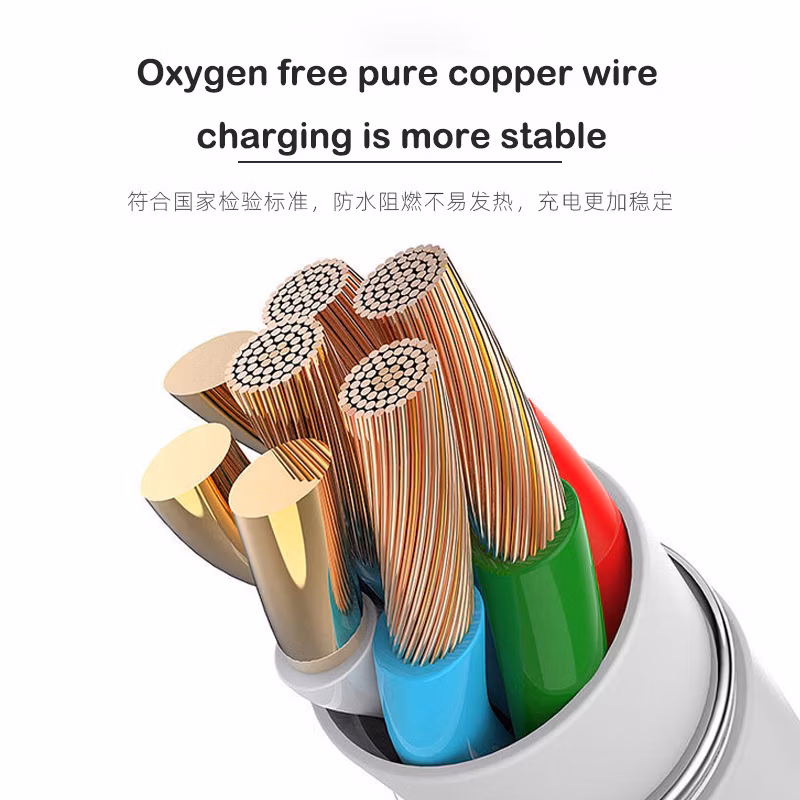 Household GB/T 7kw 16A Adjustable EV Portable Car Charger with IEC 62752