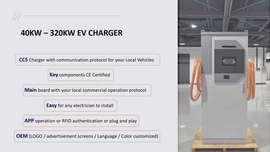 Occp CCS EV Charger Electrical Car Charger