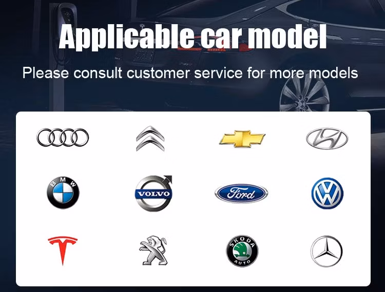 Custom OEM 7kw to 22kw (EV Charger) Electric Vehicle Charging Station