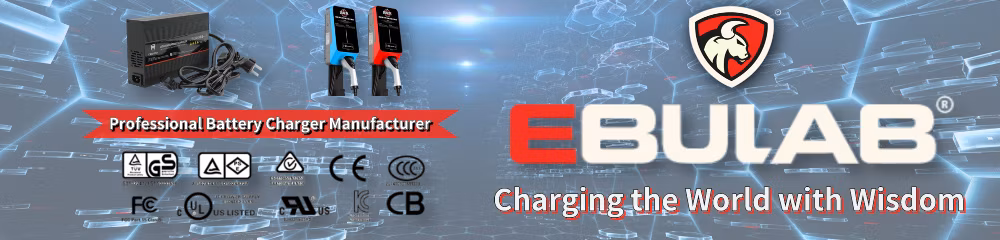 Electric Tricycle Motorcycle Bike Scooter Charger for LiFePO4 12V 24V Lithium Ion Battery Charger