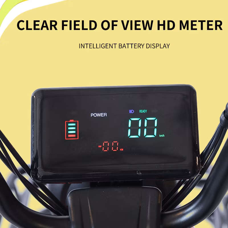 350W-500W High-Power Electric Vehiclehigh Performance for Urban Travel Vehicle