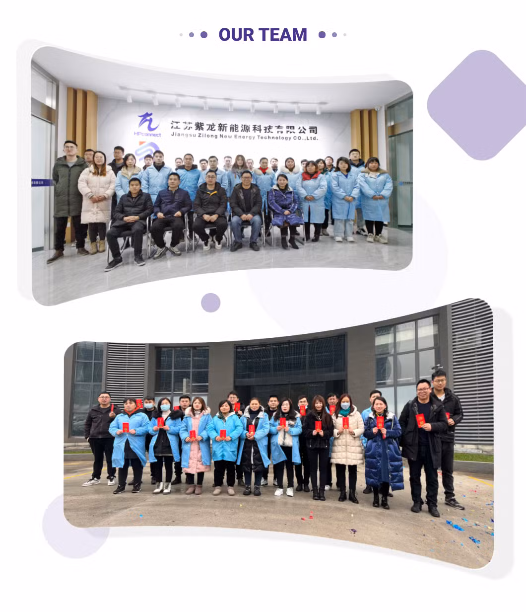 Type 2 Car EV Charging Point Level 2 Smart Portable Electric Vehicle Charger with Customized Plug