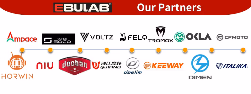 Electric Tricycle Motorcycle Bike Scooter Charger for LiFePO4 12V 24V Lithium Ion Battery Charger