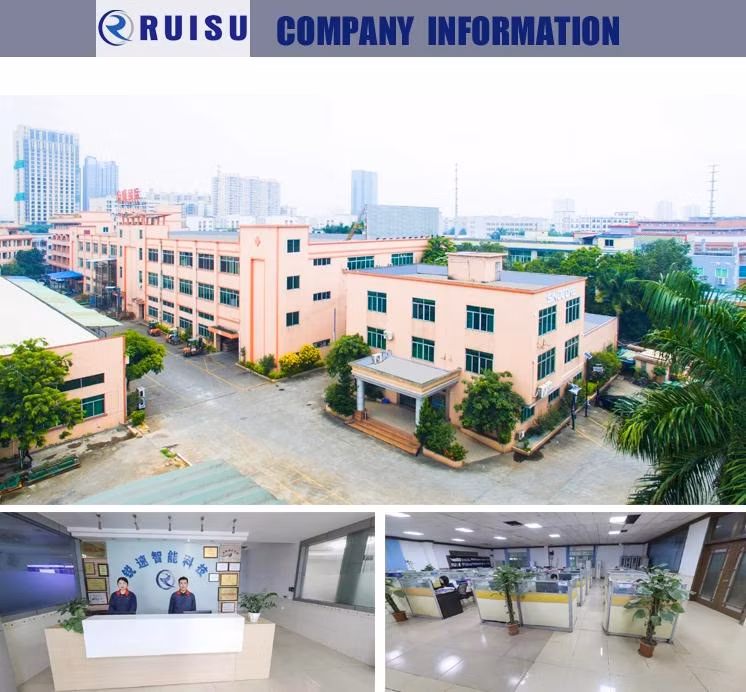 Ruisu Hot Sale Commercial Public 180kw DC Super Fast Electric Vehicle Two Guns CCS1 CCS2 Chademo GB/T Car EV DC Charging Station Portable EV Charger