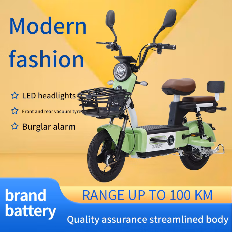 350W-500W High-Power Electric Vehiclehigh Performance for Urban Travel Vehicle