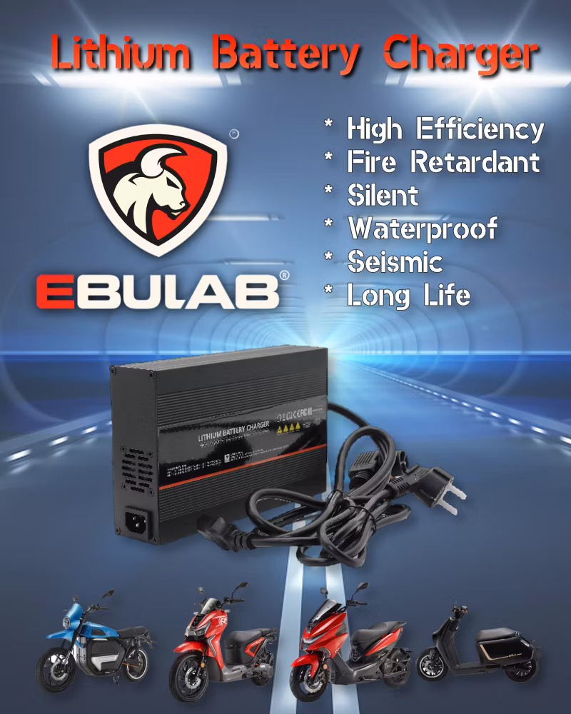 Electric Tricycle Motorcycle Bike Scooter Charger for LiFePO4 12V 24V Lithium Ion Battery Charger