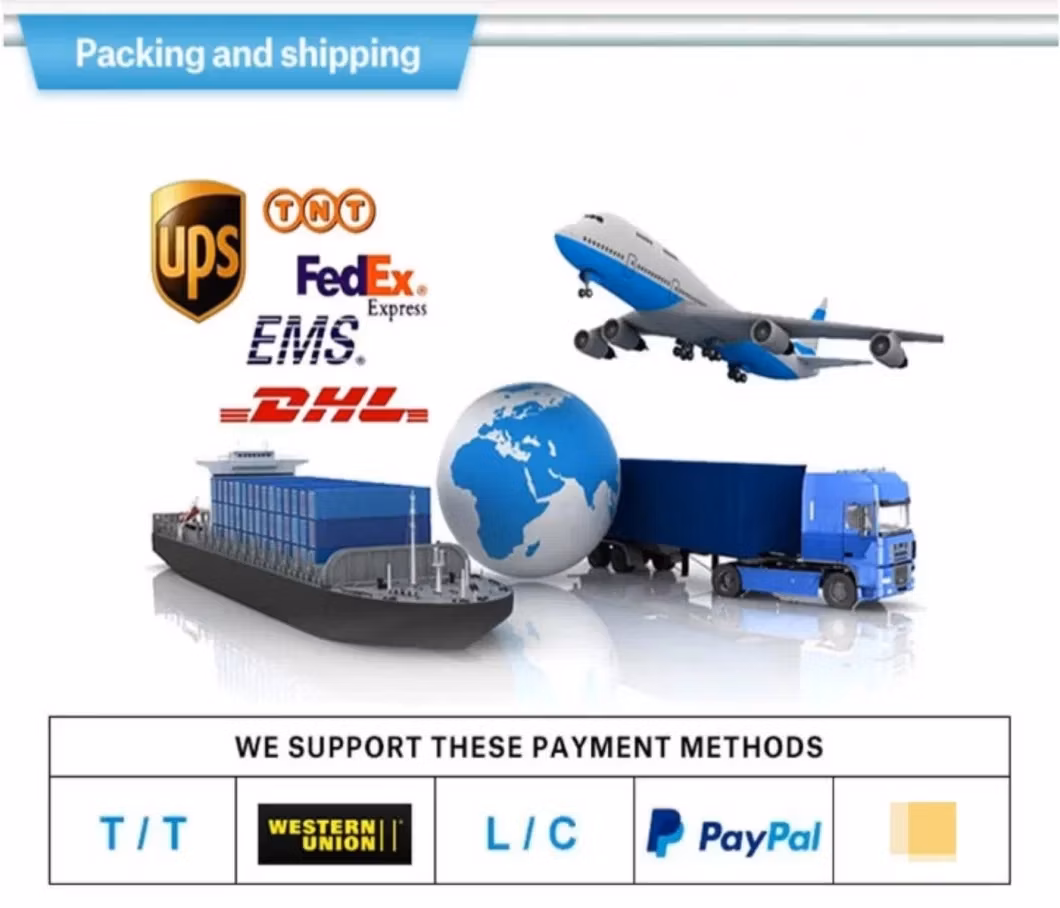 Level 3 DC 30kw CCS1 CCS2 Portable Electric Vehicle Charger for Home