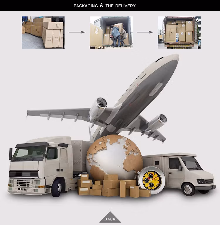 Electric Scooter CKD 250W Motor Power Battery Time Charging