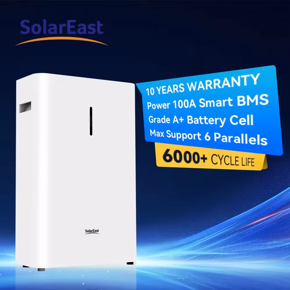 Solareast CE Certified 5kwh 10kwh 15kwh 30kwh Backup Power Wall Mounted LiFePO4 Battery for Solar Home Energy Storage