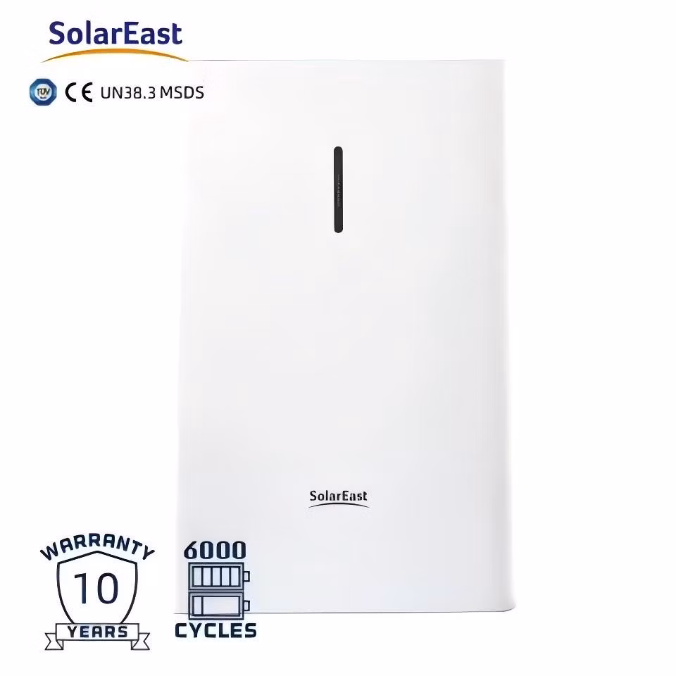 Sunrain Wall Mounted LiFePO4 Battery 51.2V 100ah Lithium Storage Battery