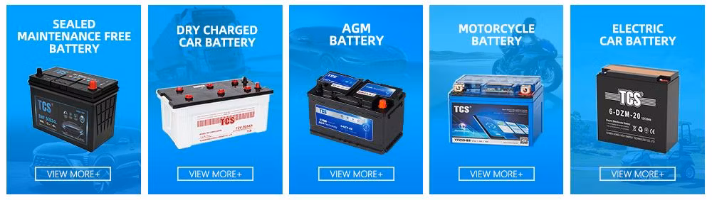 Tcs Free OEM Customer&prime;s Brands 64020 CCA900 140ah AGM Starter Battery 12V Car Battery Charging Acid Lead Battery for Starting Battery for Other Vehicles