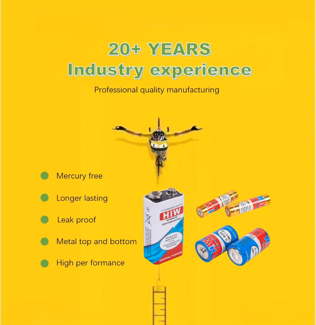 High Quality Long Life 9V Zinc Carbon Battery From Hiw with Fast Charging Capability