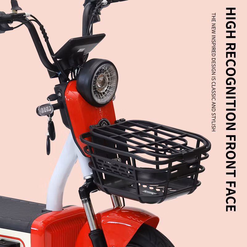 350W-500W High-Power Electric Vehiclehigh Performance for Urban Travel Vehicle